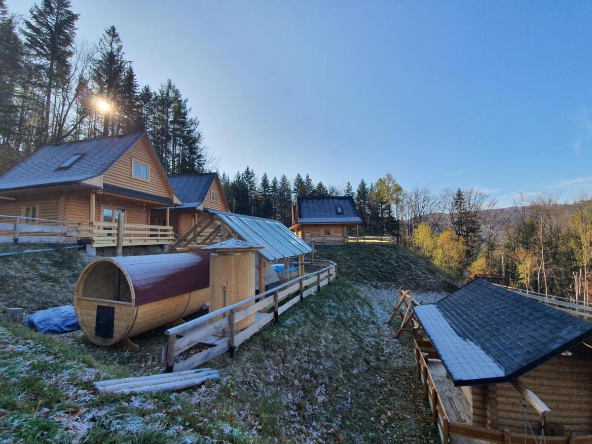 Villa Cicha Polana Szczyrk Esterno foto